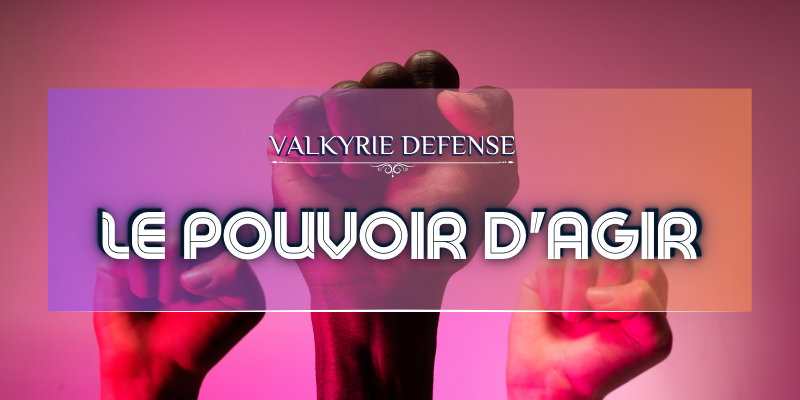 bannière entête accueil valkyrie défense tel