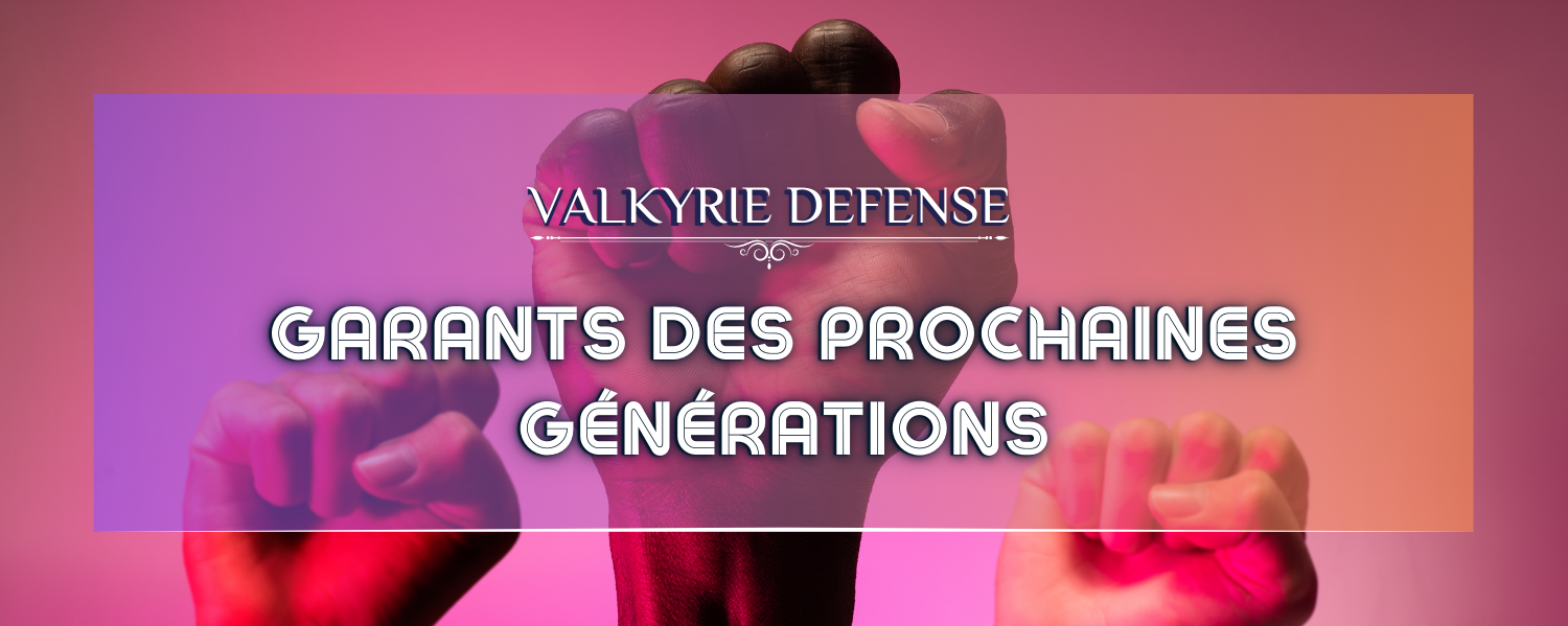 bannière entête sensibilisation valkyrie défense ordi